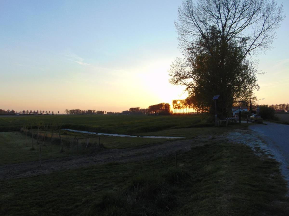 Polderhuis Voor 8-10 Personen Aan Zee Nieuwvliet Exteriör bild