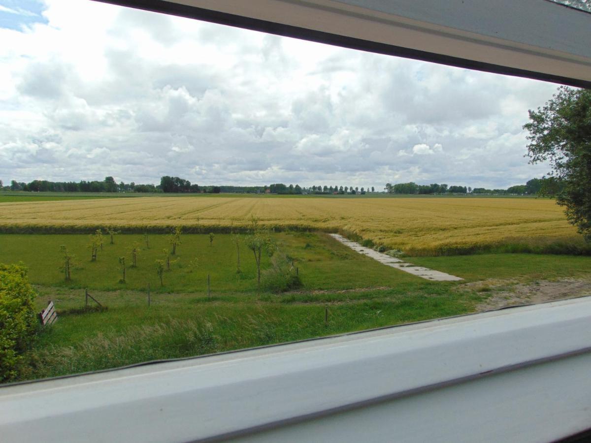 Polderhuis Voor 8-10 Personen Aan Zee Nieuwvliet Exteriör bild